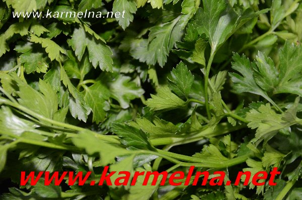 خضار وفواكة ربيع ابو الزلف